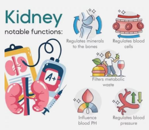 Sugar Control LI4 Acupressure Point Clip (BUY 1 GET 1 Free)