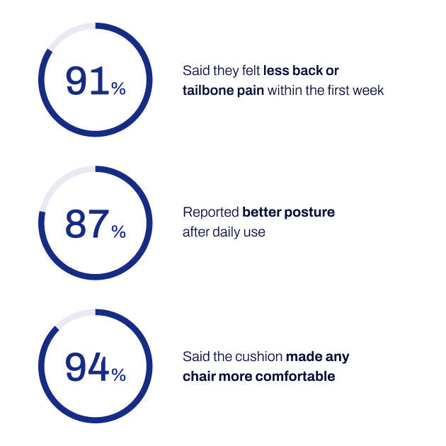 Seat Cushion ( car, office and home)