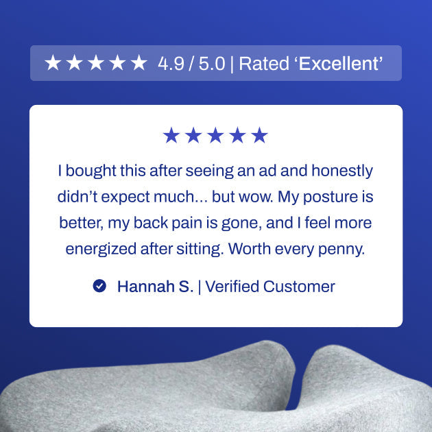 Seat Cushion ( car, office and home)