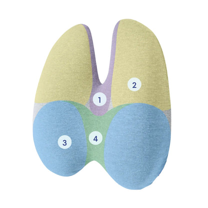 Seat Cushion ( car, office and home)